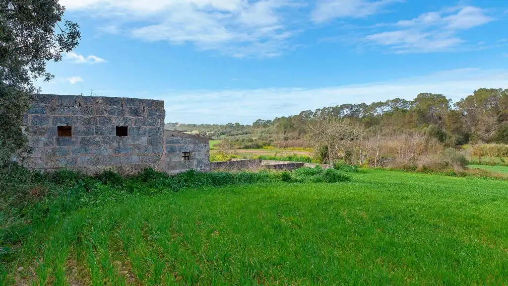 Rural land for sale in Muro, imagen 8