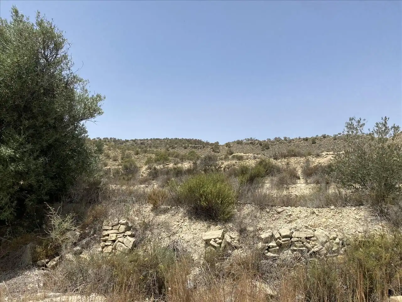 Lands and plots for sale in Paraje Partido Del Algarrobo Sector Zr-7, imagen 6