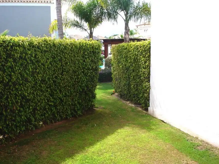 Apartment mit Pool zum Verkauf in Benamara - Atalaya, imagen 11