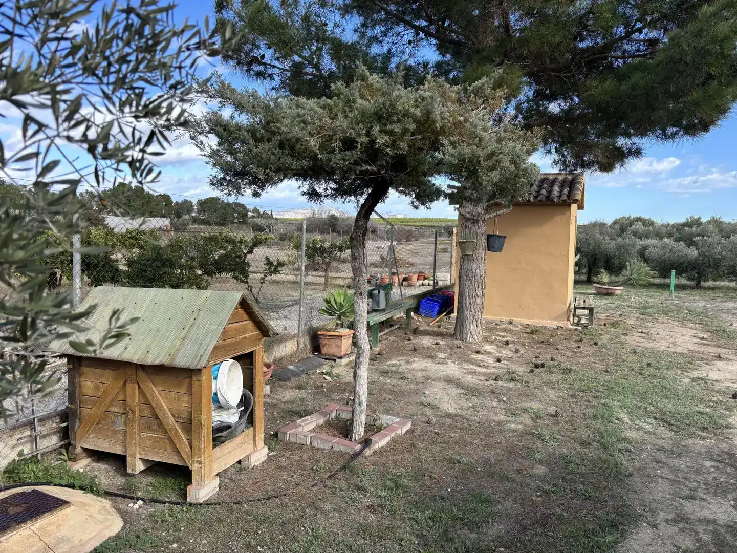 Jardí de Finca rústica en venda en Fortuna amb Jardí privat, Traster i Moblat