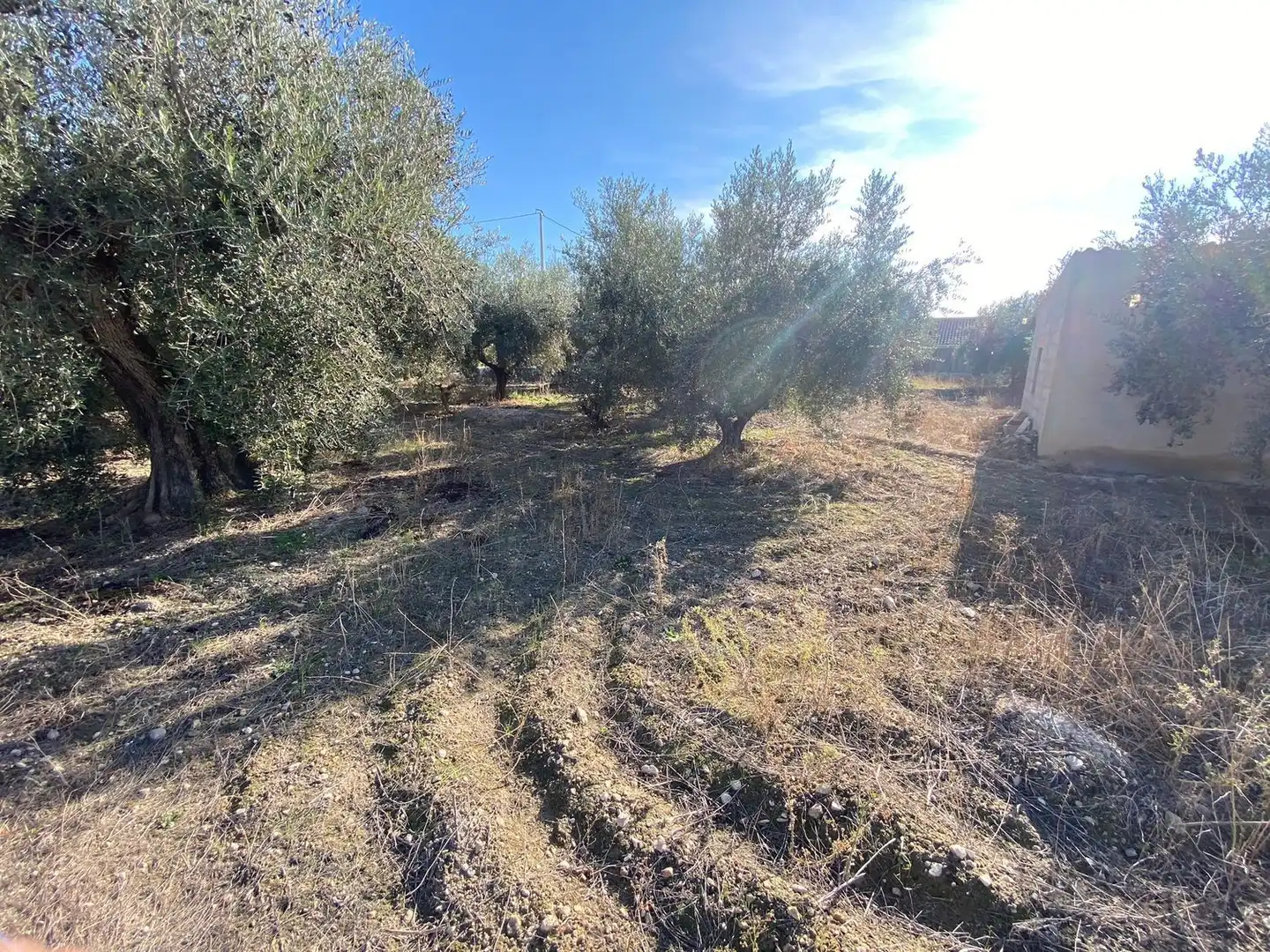 Terreny rústic en venda a Moratalla, imagen 6