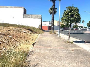 Terrenys i solars en venda a Gerena