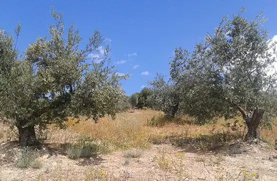 Terreno en venta en Castillo de Locubín