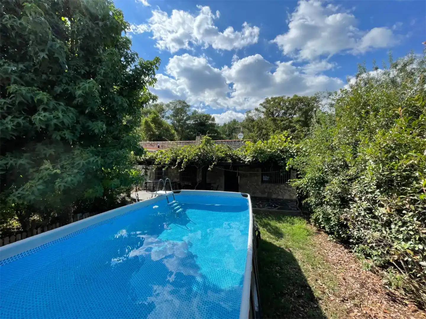 Piscina de Casa o chalet en venta en Casas del Castañar con Jardín privado, Trastero y Piscina