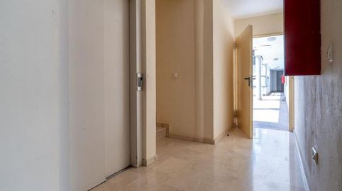 Piso, imatge 5
