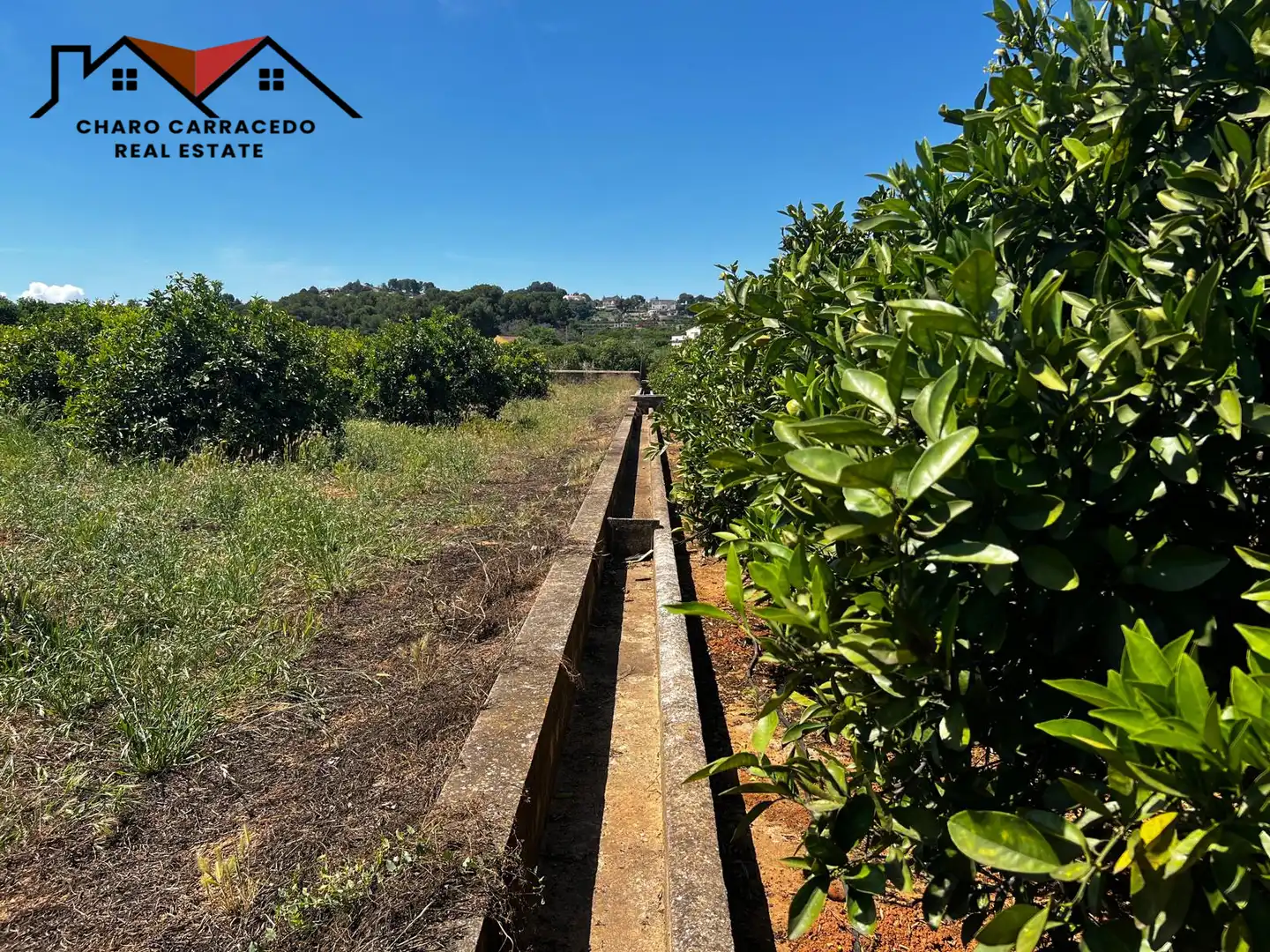 Terreno rústico en venta en Camí de la Murta-Ombria, imagen 12