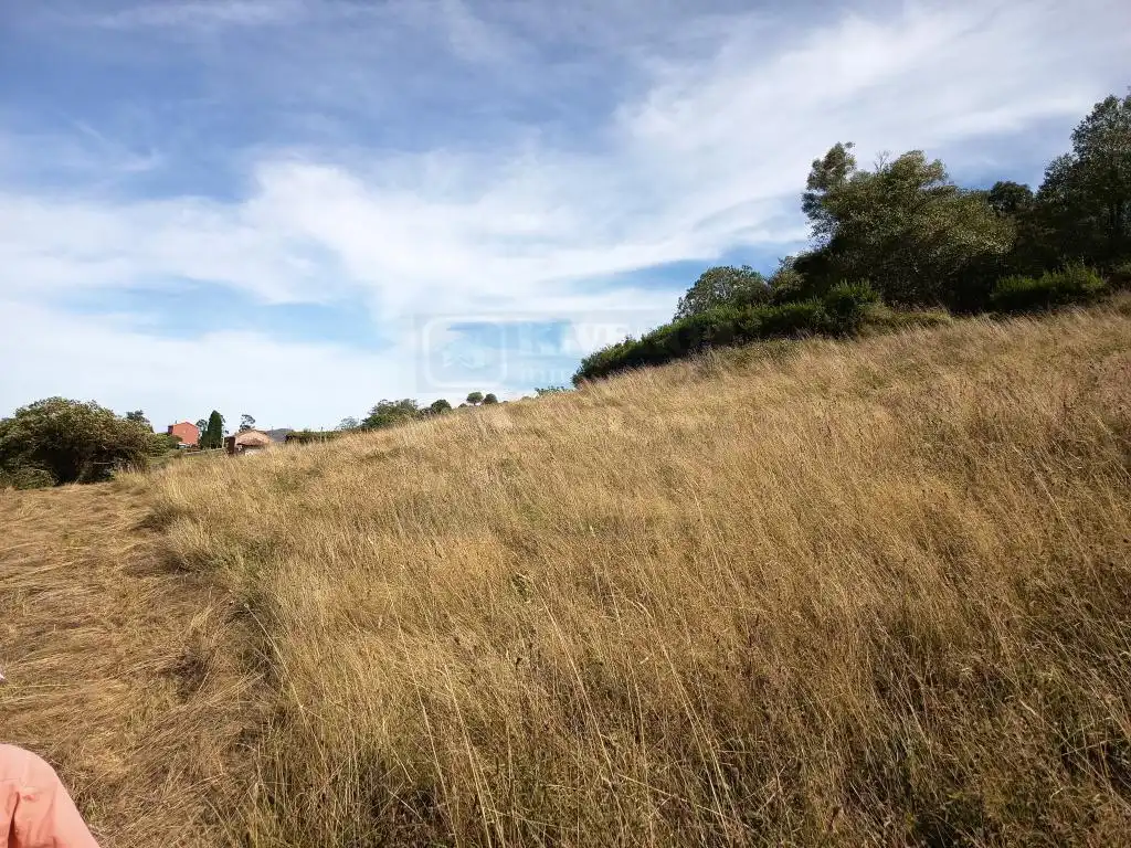 Grundstücke und Bauplätze zum Verkauf in Aldea Argañosa, imagen 5