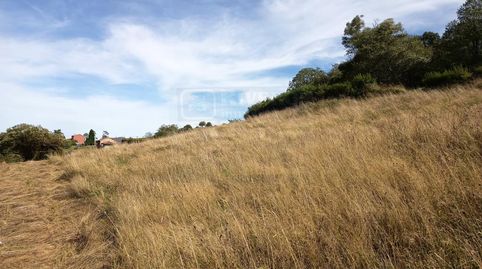 La Argañosa (Candamo) Asturias, finca edificable para dos casas, 25.000 €, imatge 5