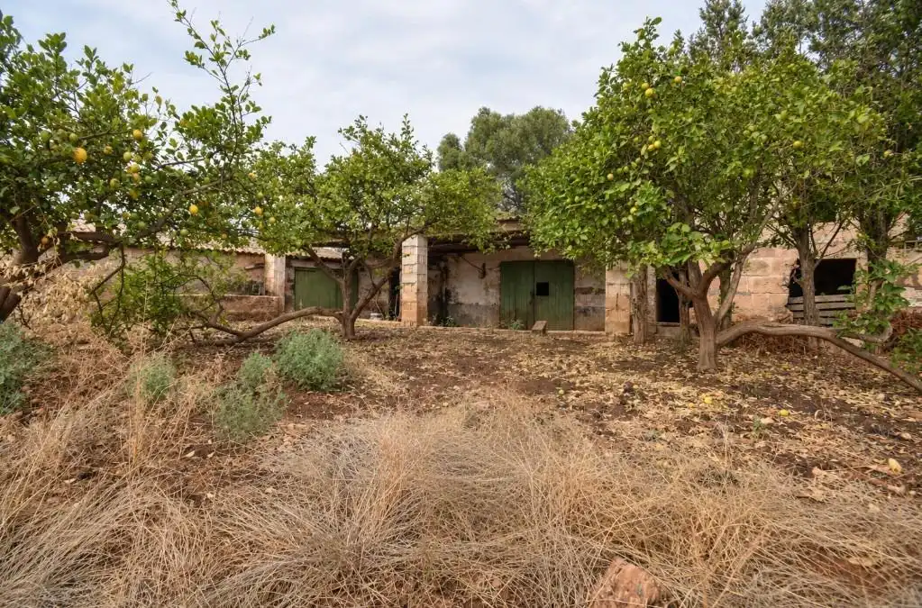 Casa rustica con giardino in vendita a Muro, imagen 6