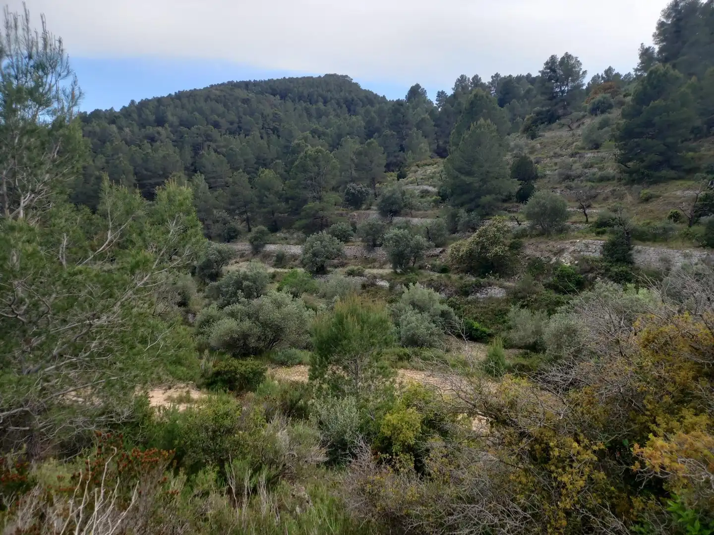 Rural land for sale in El Pinell de Brai, imagen 6