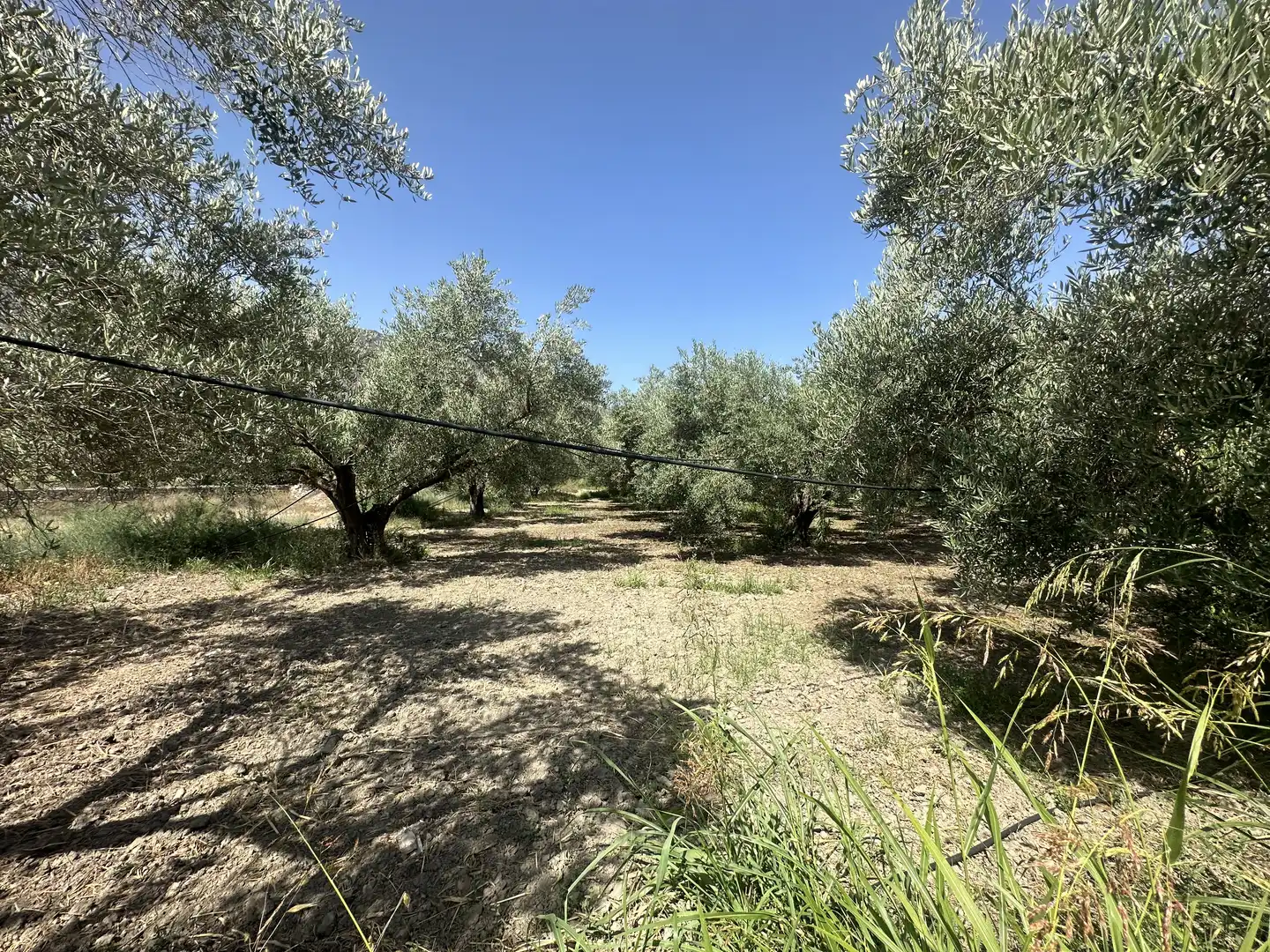 Country house zum Verkauf in Bentarique mit Privatgarten