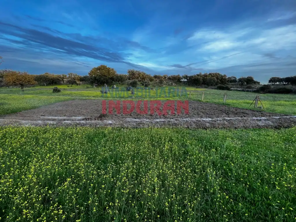 Finca rústica en venta en Valdehúncar