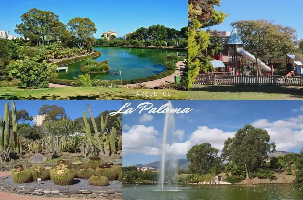 Ground floor with pool for sale in Parque de la Paloma, imagen 21