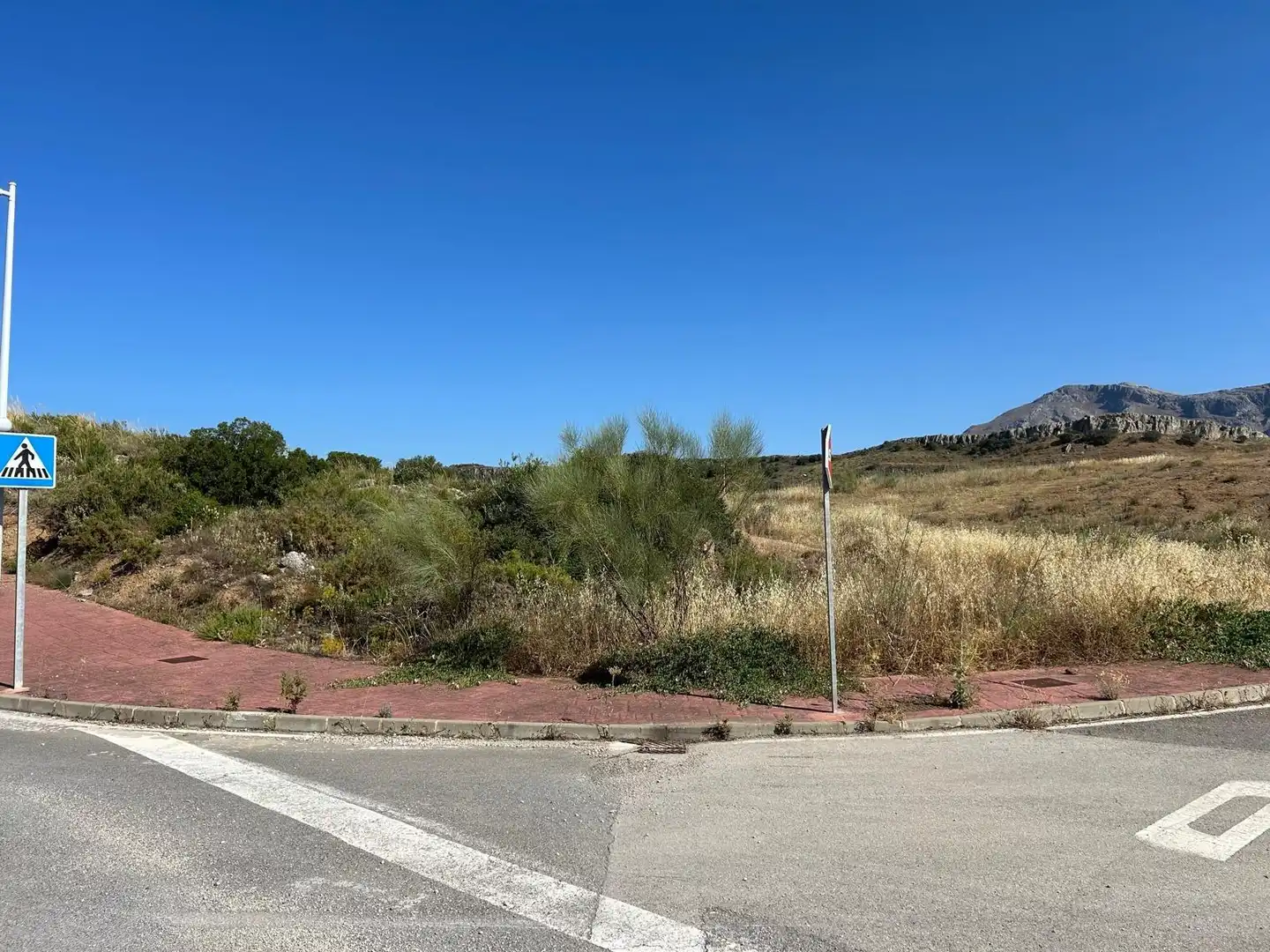 Lands and plots for sale in Centro, imagen 7