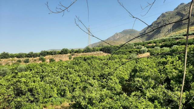 Terreno en Venta en Íllar