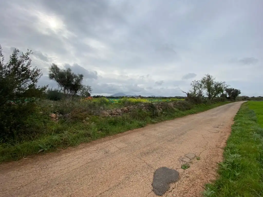 Rural land for sale in Felanitx Poble, imagen 5