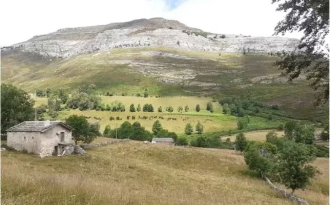 Exterior view of House or chalet for sale in Espinosa de los Monteros  with Private garden