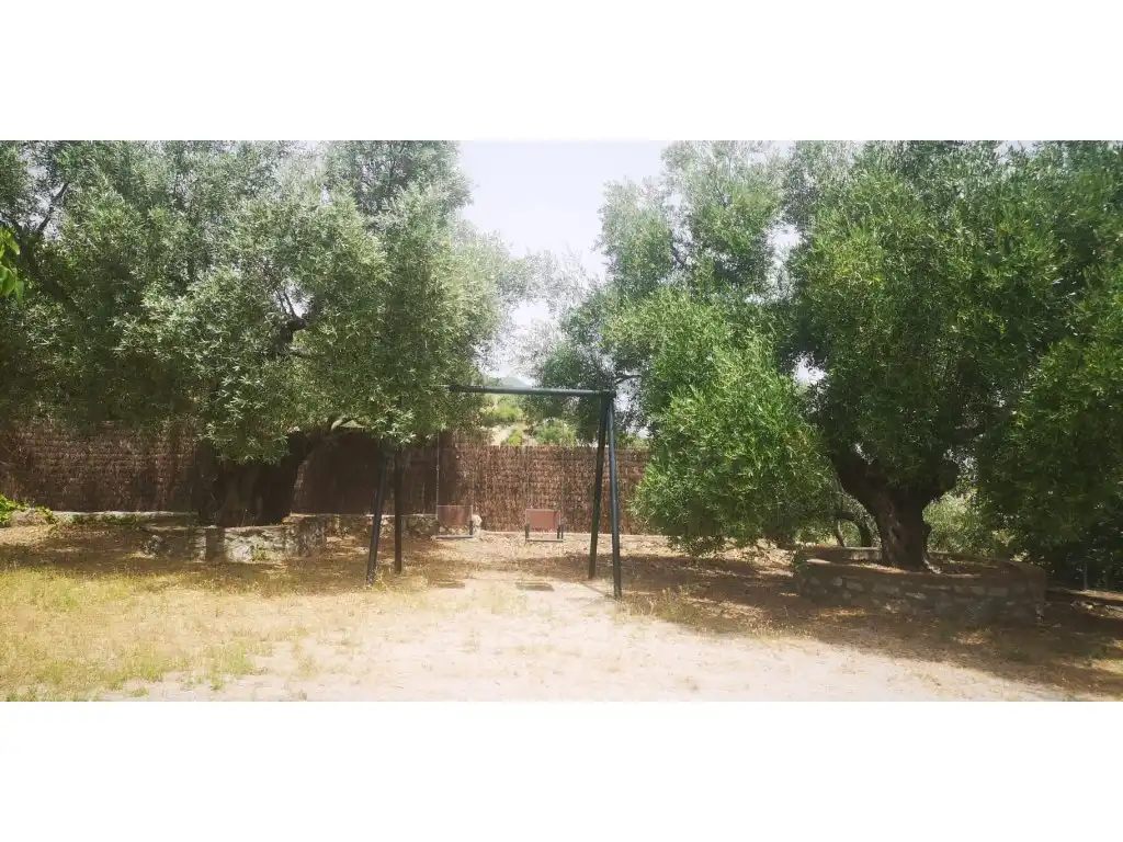 Finca rústica en venda en Zahara