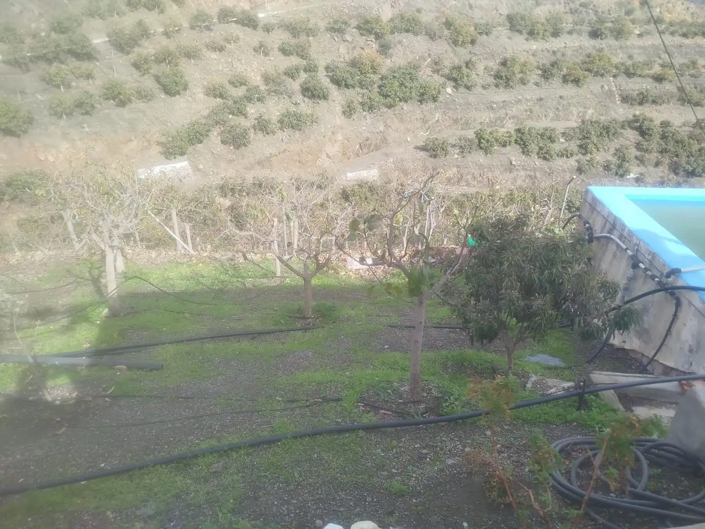 Finca rústica en venda en Vélez-Málaga amb Jardí privat, Traster i Moblat