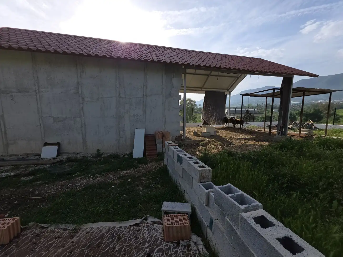 Vista exterior de Finca rústica en venta en Alhaurín El Grande