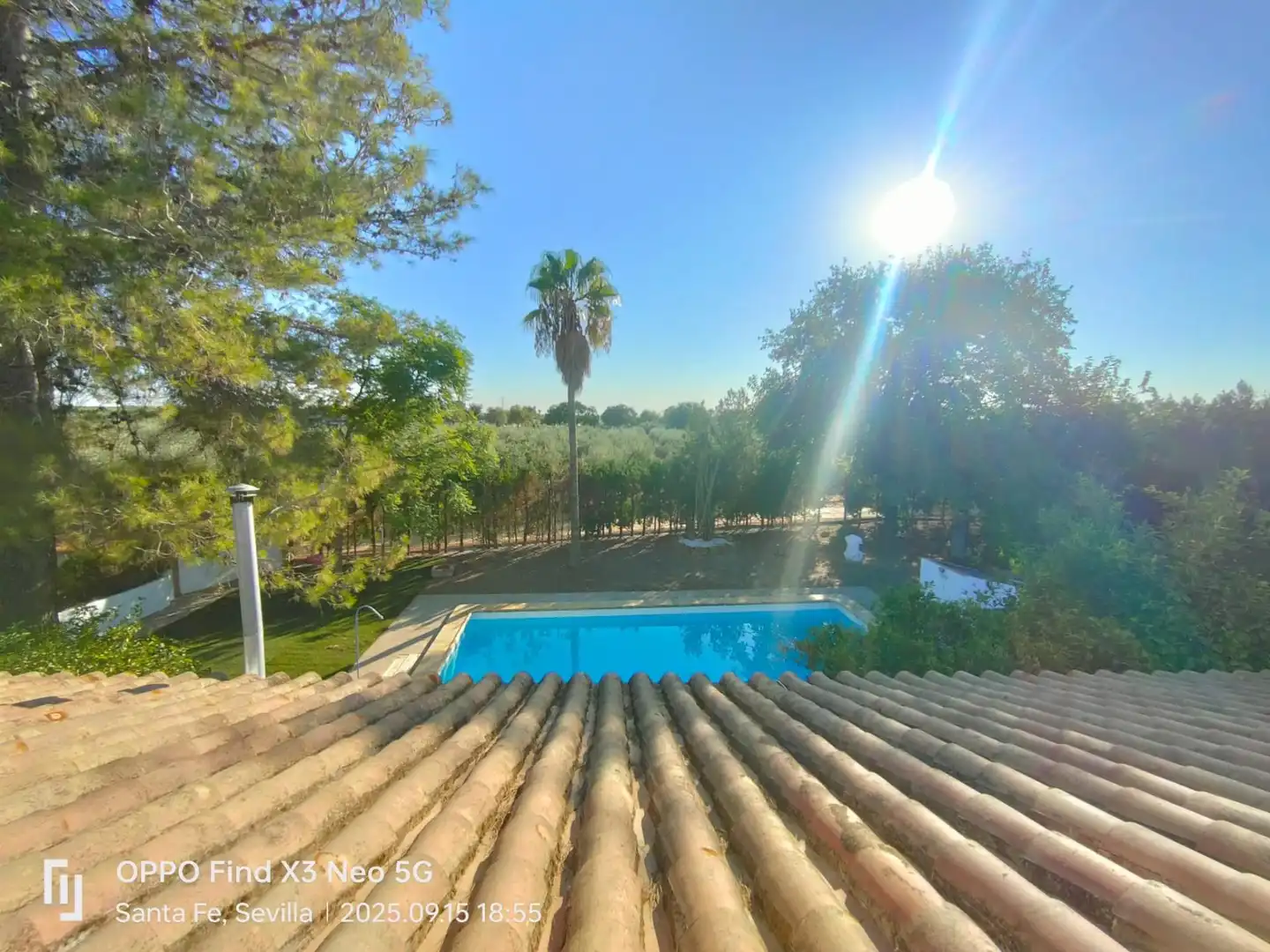Jardí de Casa o xalet en venda en El Viso del Alcor amb Aire condicionat, Jardí privat i Piscina