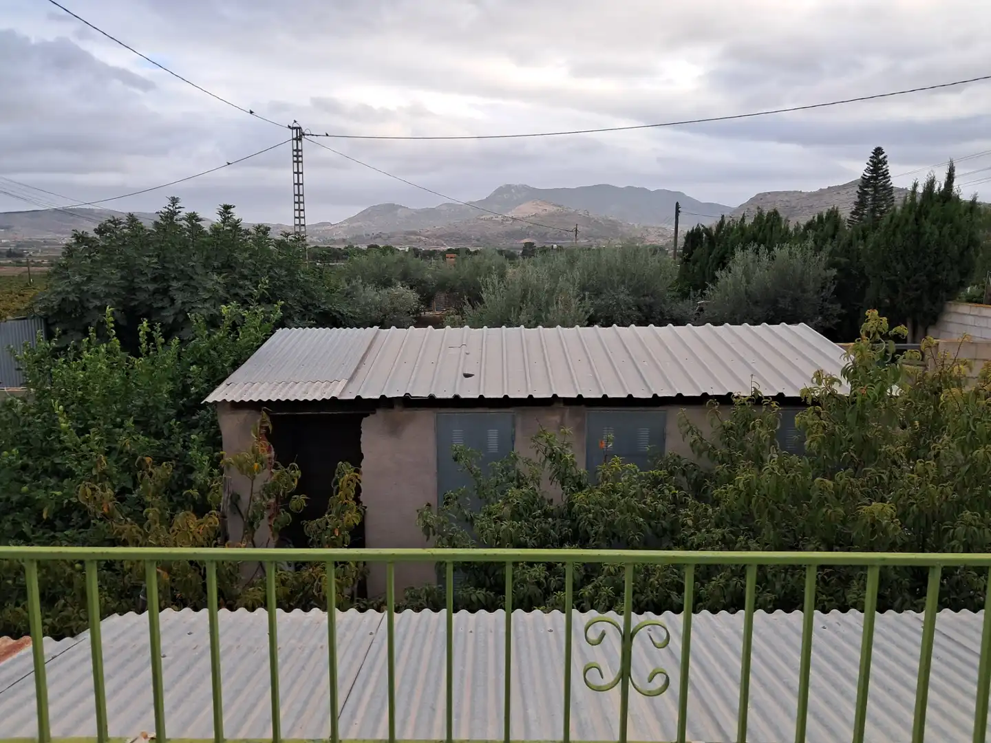 Vista exterior de Casa o chalet en venta en Aspe con Jardín privado, Terraza y Trastero