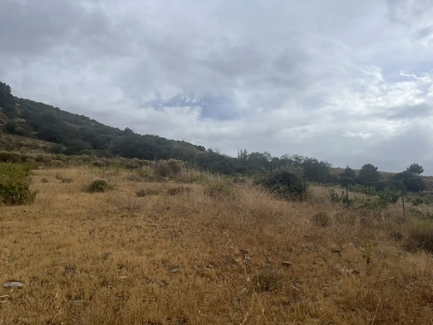 Terreno en venta en La Taha