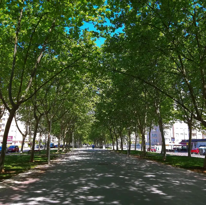 Apartament amb piscina de lloguer a Plaça de la Rosa dels Vents 25, imagen 11