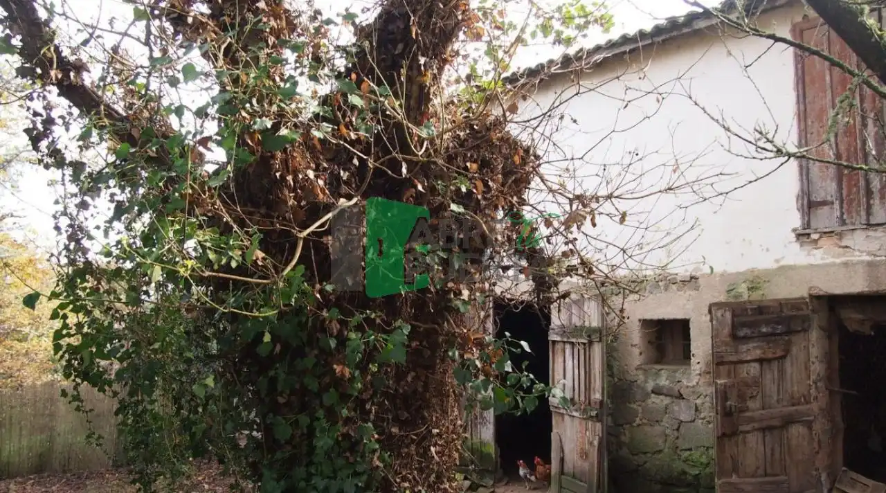 Finca rústica en venta en O Pereiro de Aguiar  con Calefacción, Jardín privado y Trastero