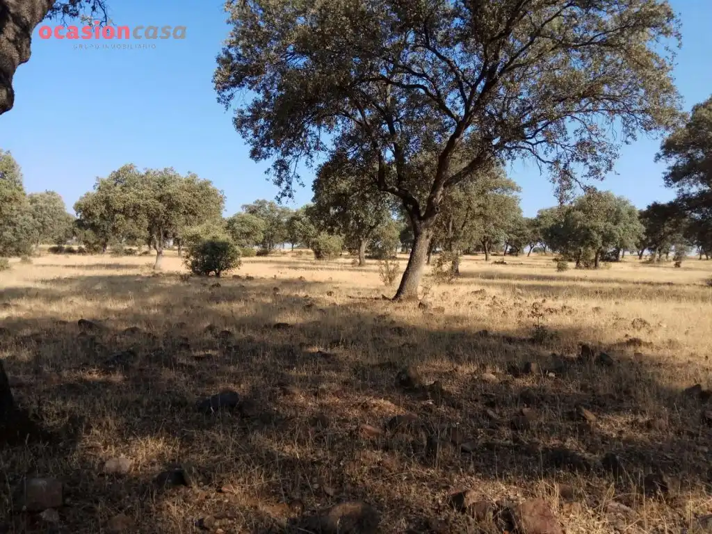 Country homes for sale in Torrecampo