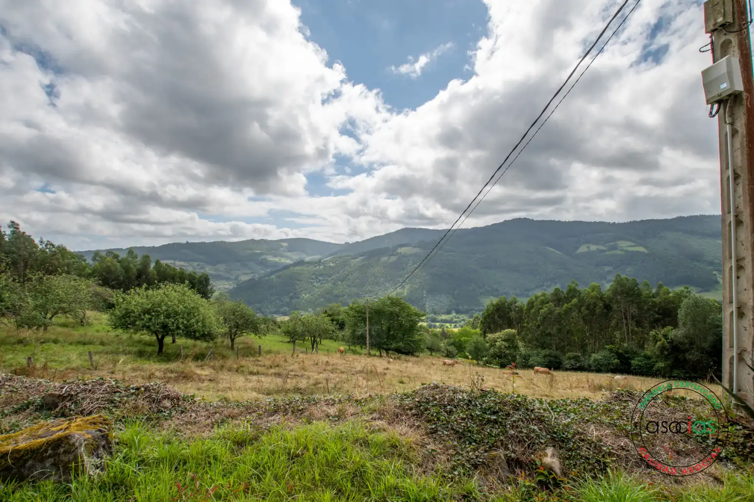 Casa o xalet en venda en Villaviciosa amb Jardí privat i Traster