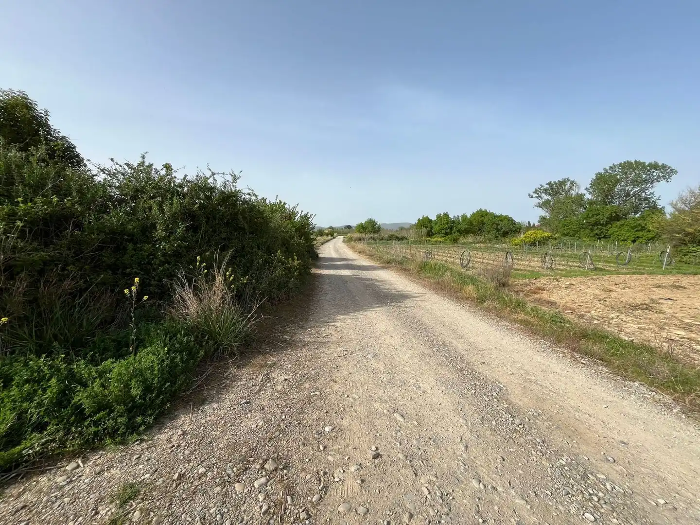 Residential for sale in Beire
