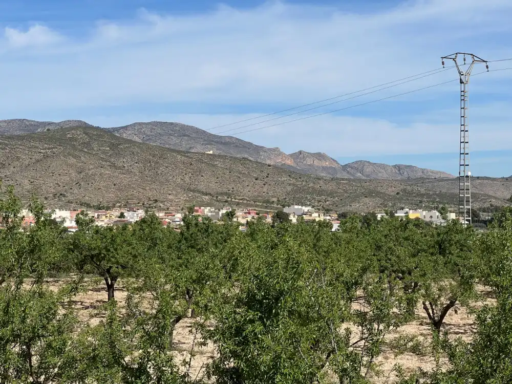Vista exterior de Pis en venda en Hondón de los Frailes