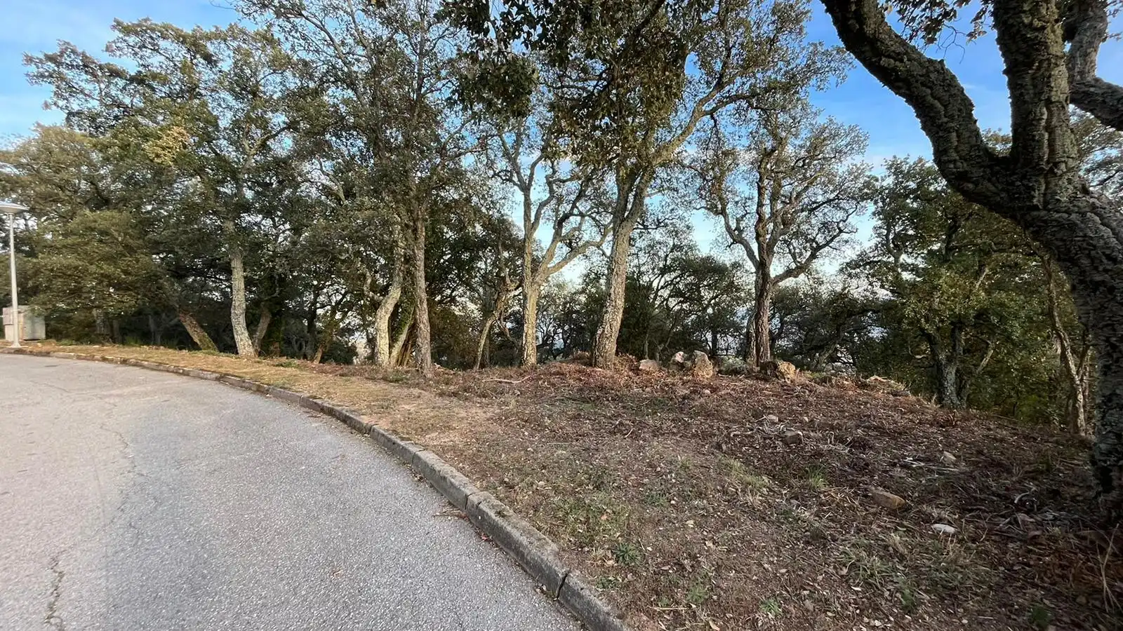 Terreno residencial en venta en Arbúcies, imagen 2