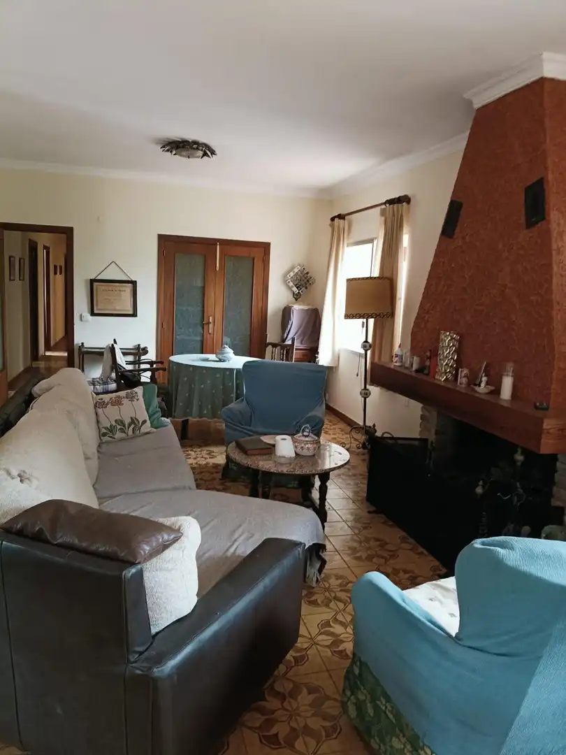 Sala de estar de Casa o chalet en venta en Alzira con Jardín privado y Terraza