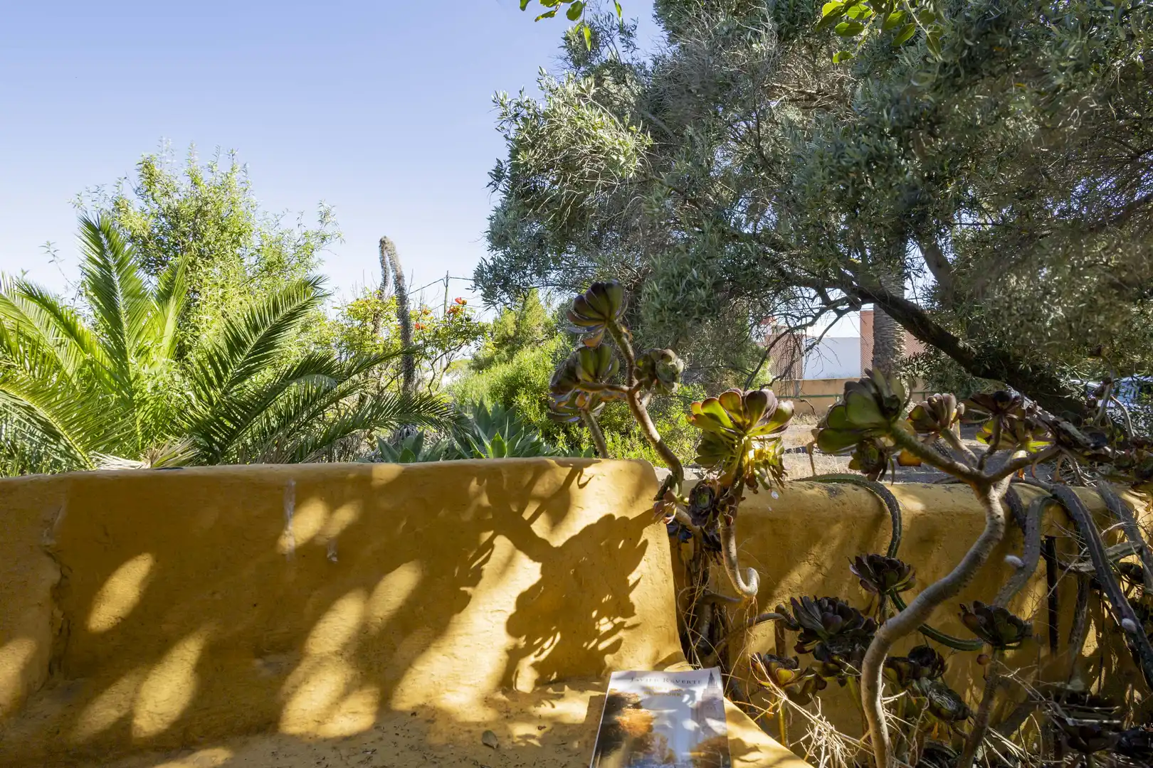 Garten von Haus oder Chalet zum Verkauf in San Cristóbal de la Laguna mit Privatgarten, Terrasse und Abstellraum