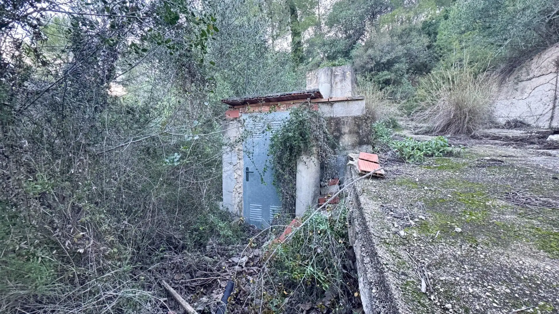 Rural land for sale in Pego, imagen 6