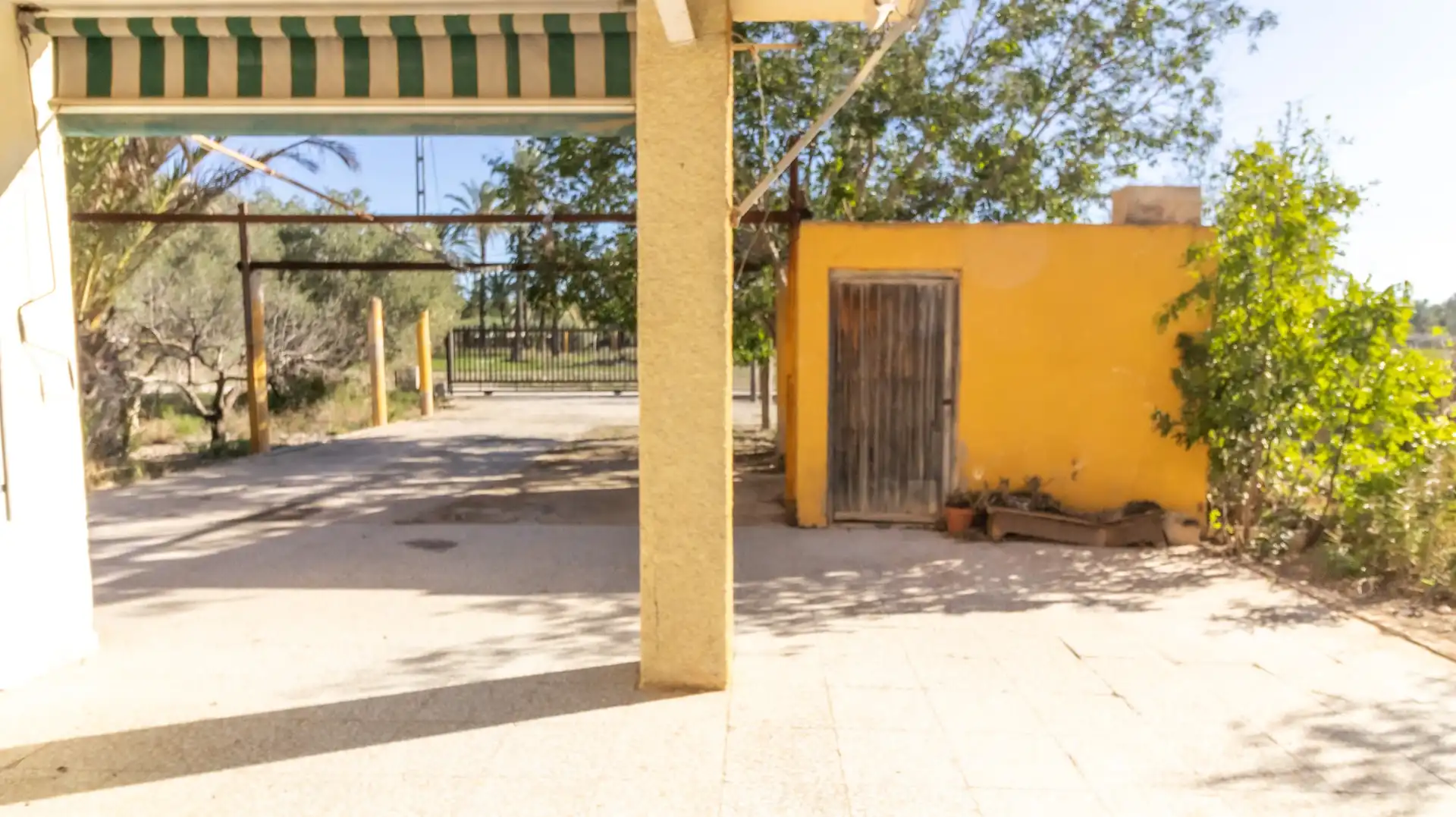 Vista exterior de Casa o chalet en venta en Elche / Elx con Trastero y Piscina