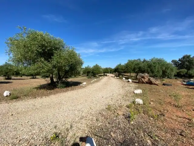Terreni e lotti in vendita a Villanueva del Río y Minas, imagen 30