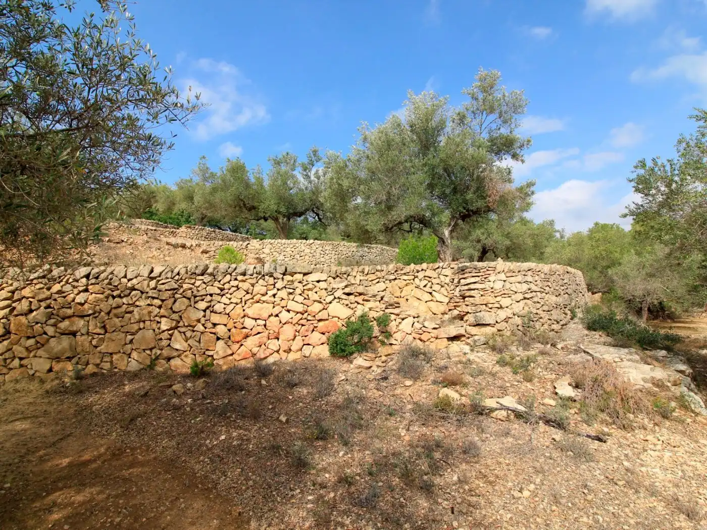 Maison rustique à vendre à El Perelló, imagen 19