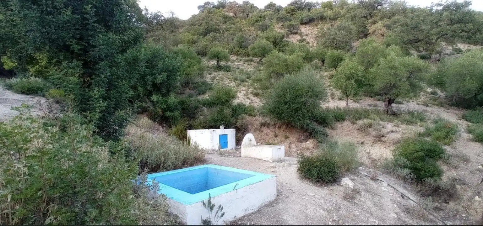 Piscina de Finca rústica en venta en Benaocaz