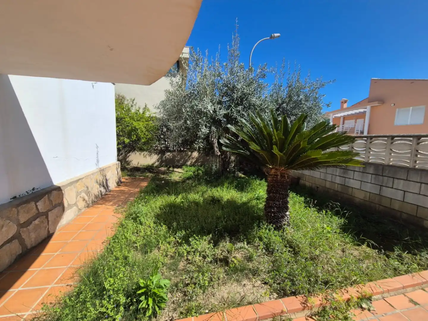 Jardí de Casa o xalet en venda en Oliva amb Jardí privat i Terrassa