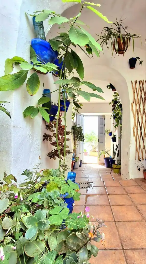 Terraza de Apartamento en venta en Vejer de la Frontera
