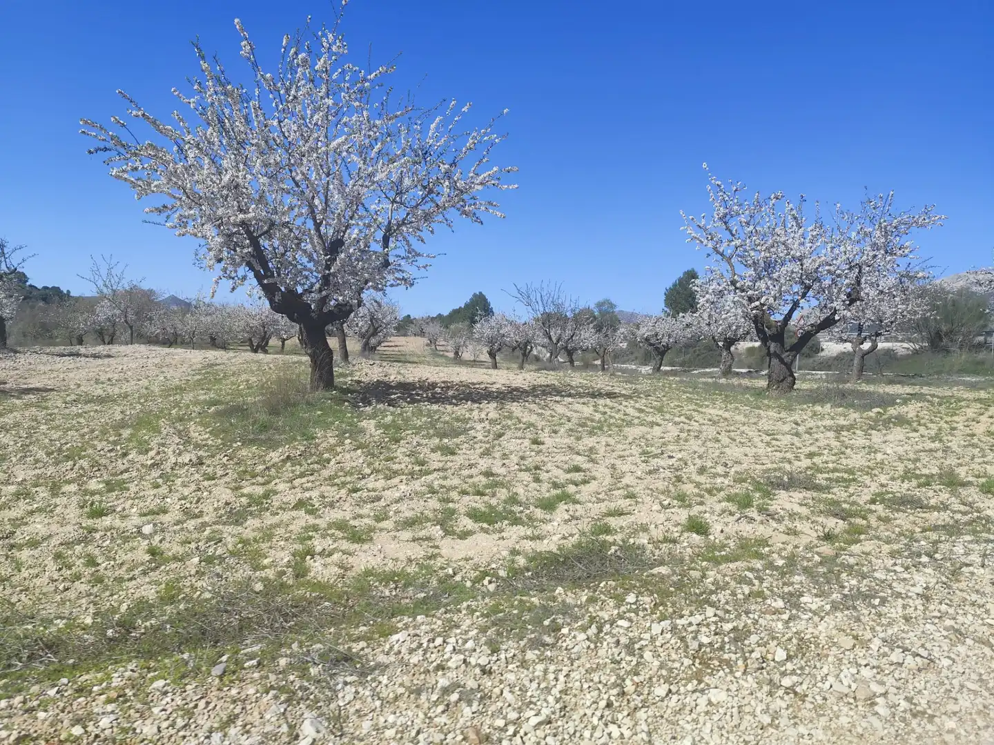 Rustikales Grundstück zum Verkauf in Paraje Venta Picolo, imagen 7