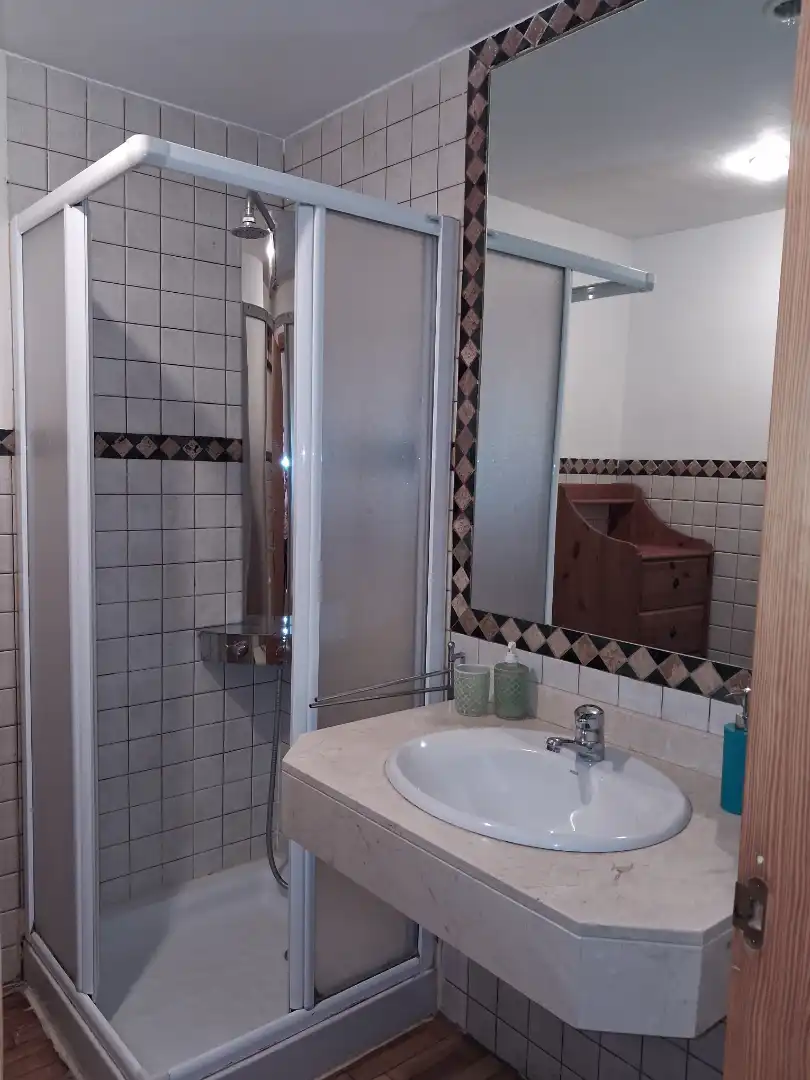 Bathroom of Apartments for rent in  Palma de Mallorca  with Air Conditioner, Parquet flooring and Furnished