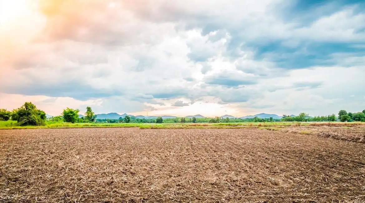 Terreno en venta en Murcia