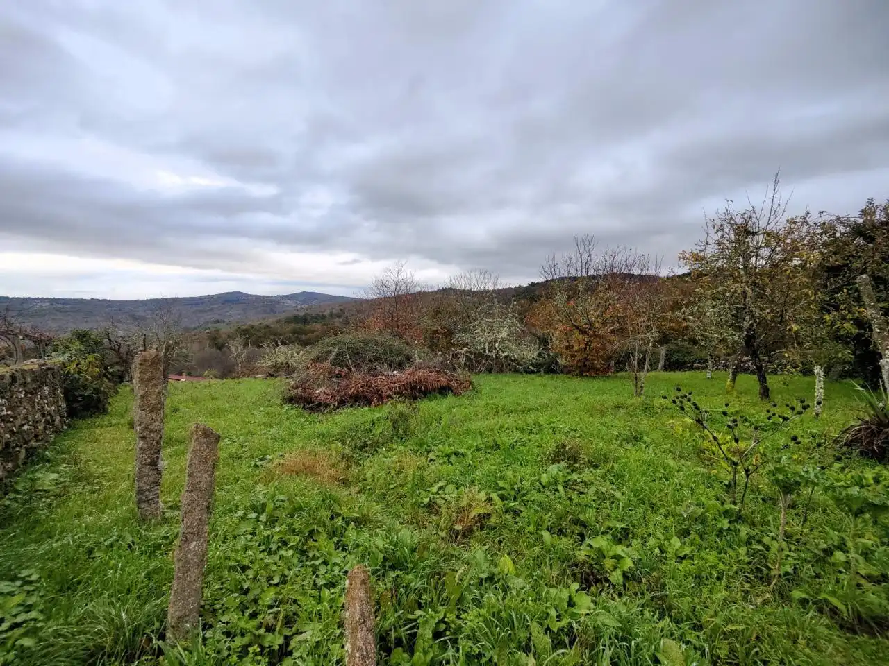 Country homes for sale in A Merca    with Private garden and Balcony