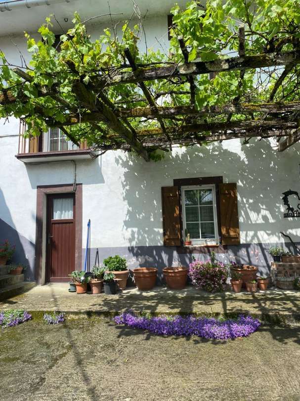 Exterior view of Country house for sale in Mungia  with Terrace, Storage room and Swimming Pool