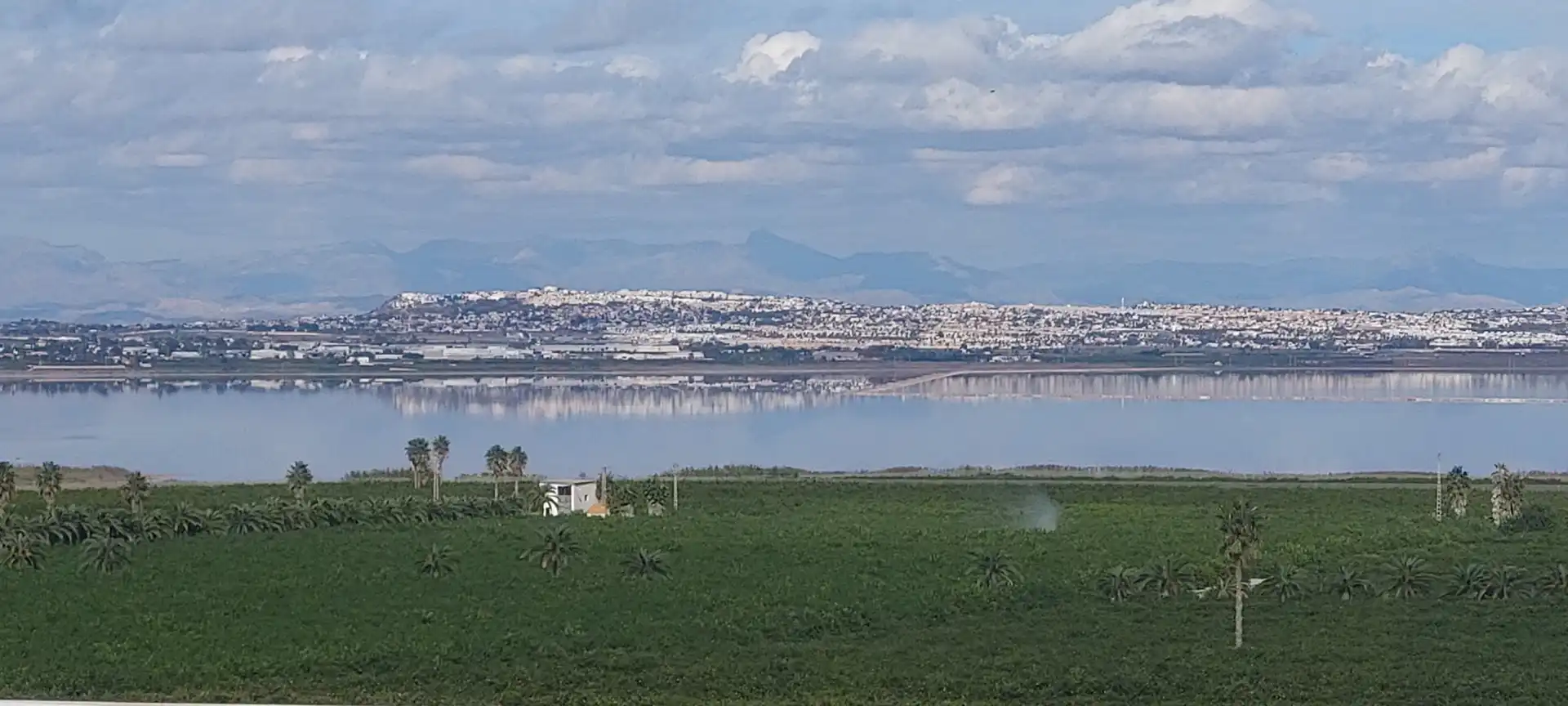 Àtic amb terrassa en venda a Los Balcones - Los Altos, imagen 33