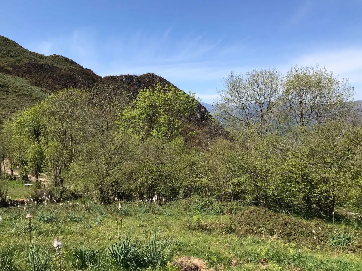 Terreno rustico in vendita a Cangas de Onís, imagen 16